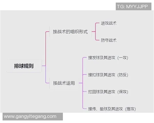 聚焦排球：重庆排球队的战术话题